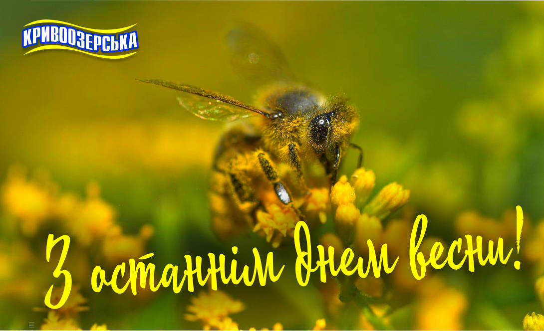 Прев'ю картинка для новини - З останнім днем весни!